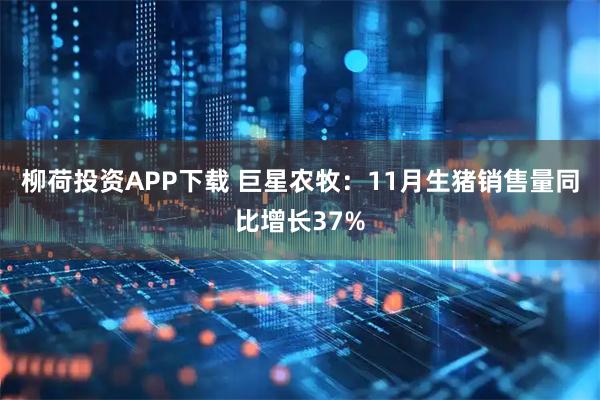 柳荷投资APP下载 巨星农牧：11月生猪销售量同比增长37%