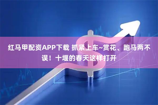 红马甲配资APP下载 抓紧上车~赏花、跑马两不误！十堰的春天这样打开